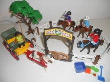 Pferde Kutsche und Koppel mit