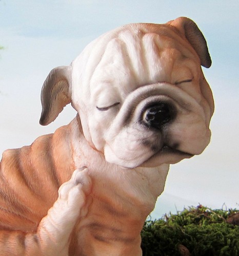 Sitzende englische bulldogge - sitzende,