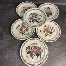 6 Portmeirion Botanic Garden