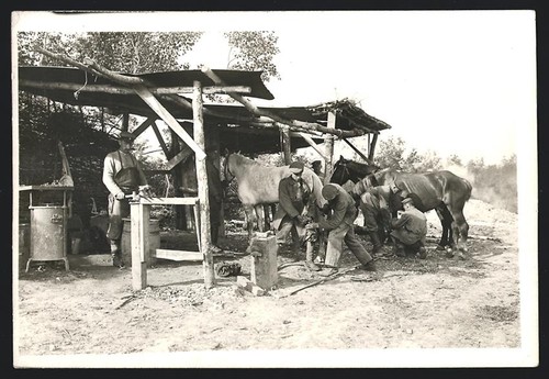 Fotografie feldschmiede - fotografie,
