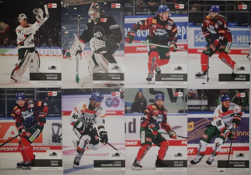 Del playercards 2024 2025 - playercards, 2024/2025
