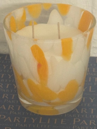 Partylite docht - partylite, 2-docht