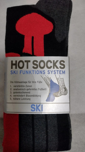 Paar alpin sports ski - paar,