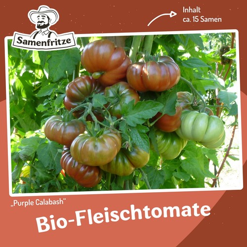 Bio tomatensamen purple - bio-tomatensamen,