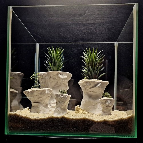 Aquarium terrarium felsen - aquarium,