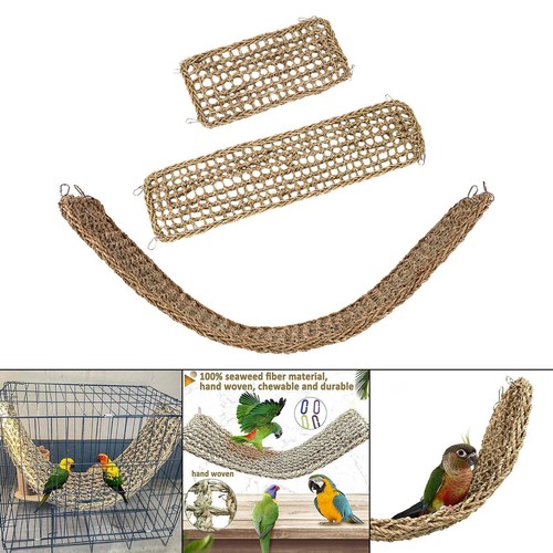 Papagei klettern seil leiter - papagei,