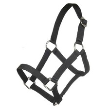 Mini-Shettyhalfter, HKM