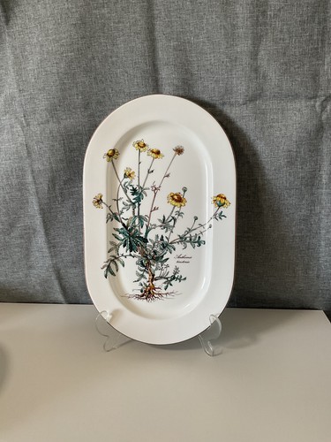 Villeroy boch botanica - boch,