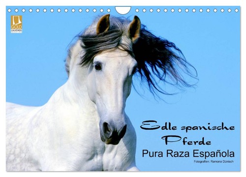 Edle spanische pferde pura - edle,