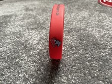 Nürnberg ice tigers - ice, armband