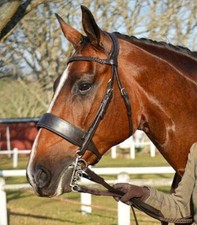 FSS Anatomischer HUNTER Trense