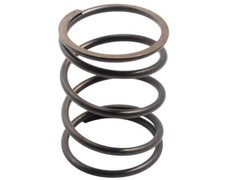 Gegendruckfeder Original