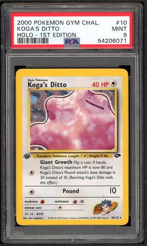 Koga ditto 132 psa - ditto, 10/132