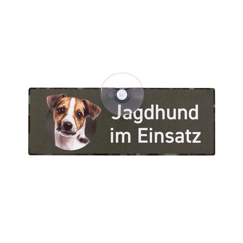 Jack russell terrier - russell,