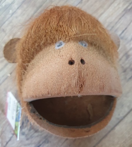 Kokosnuss affenkopf vögel - kokosnuss-affenkopf,