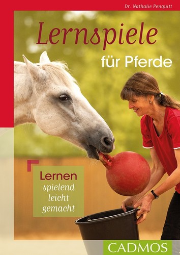 Lernspiele für pferde - lernspiele,