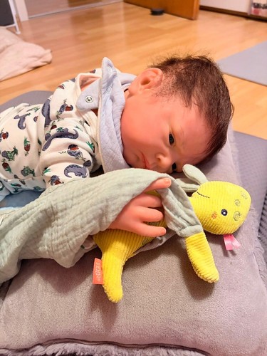 Reborn baby barry adrie stoete - reborn,