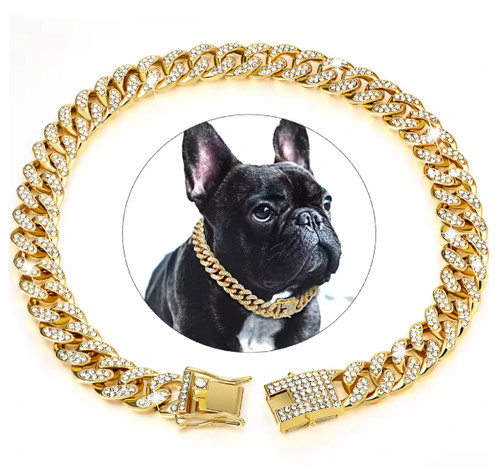 Halsband hund katze cuban - hund,