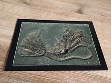 Postkarte - Museum Hauff, Holzmaden - Seelilien