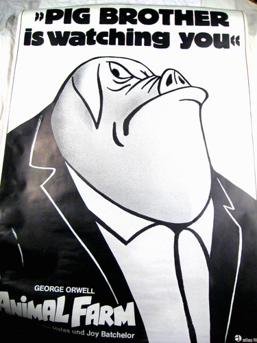 Animal farm pig brother - animal,