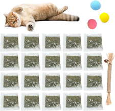 20 Stück Katzenminze