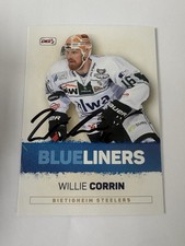 DEL2 Blueliners Bietigheim