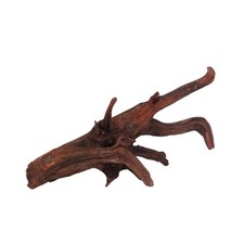 XL Driftwood Flußwurzel