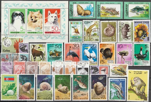 Tiere lot mit - mit, thema