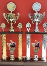 Säulenpokal Pokal Pokale