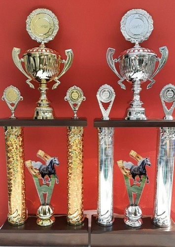 Säulenpokal pokal pokale - pokal,
