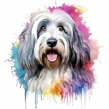 Designer Aufkleber / Sticker