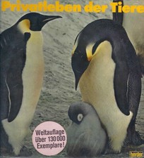 Privatleben der Tiere - Roger