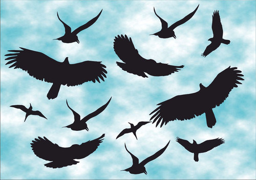 Vögel vogel schutz - vögel, aufkleber