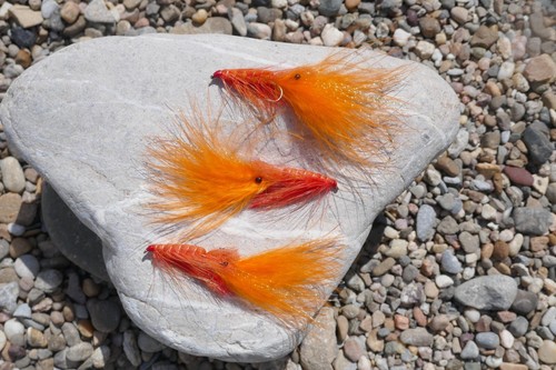 Pattegrisen streamer 6 - pattegrisen,