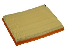 PURFLUX Luftfilter (A1043)
