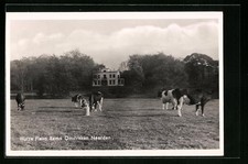 Ansichtskarte Naarden, Huize Flevo Rama Omstreken 