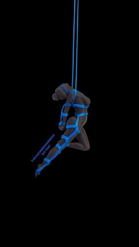 Bondage auto figur bdsm - auto,