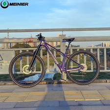 29 Zoll Carbon MTB Mit