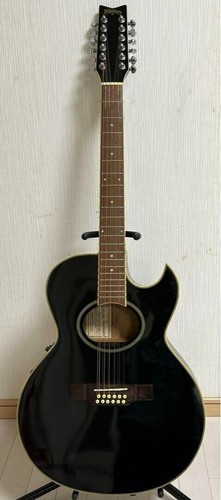 Washburn ea20mb saitige - ea20mb-12, 12-saitige