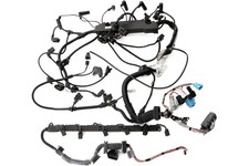 Kabelbaum Motor DDE + Injektorkabel BMW E60 E61 530d 530xd M57N2 mit Schaltgetr.