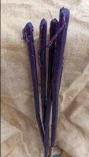 25 Festival Garden TallWax