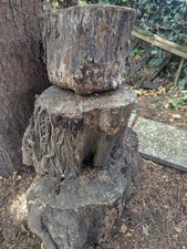  Brennholz Baum Holz Stamm