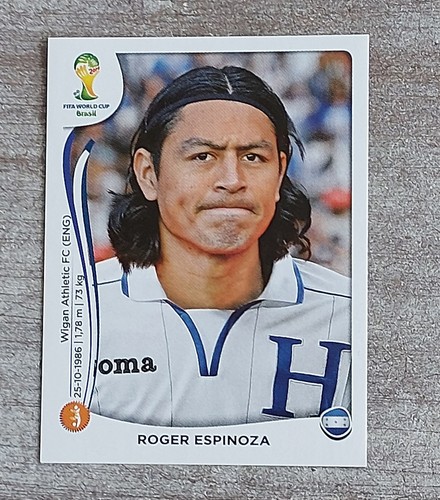Panini 2014 404 roger - panini, wm