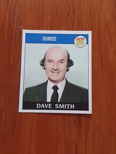 Panini football sticker - football,