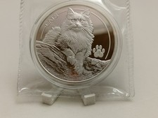 2025 Fiji Cats Katzen 4