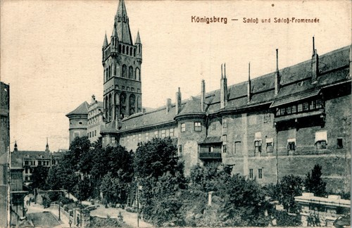 Gruss aus königsberg - ak,