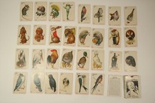 Schwarzer Peter nach