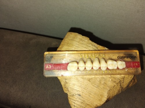 Vitapan cuspidform 41c - vitapan, a3