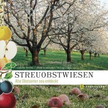 Streuobstwiesen: Alte