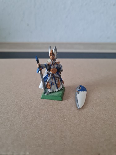 Hochelfen held warhammer - held,